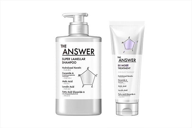 THE ANSWER スーパーラメラシャンプー&EXモイストトリートメントFOR DAILY DAMAGE